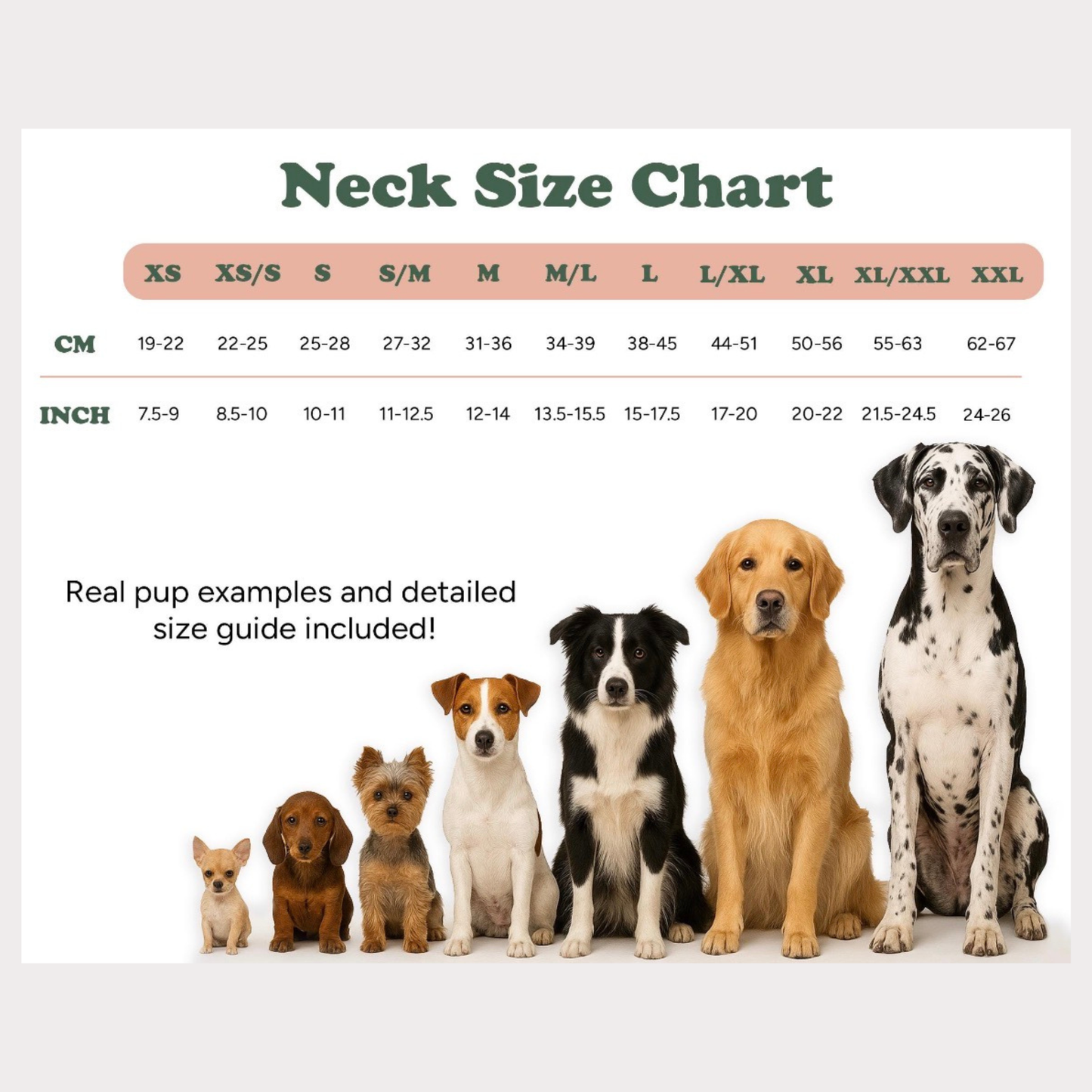 Dog Bandanas - Floral Sage